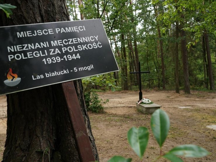 Remains of 8,000 Nazi war victims in Poland