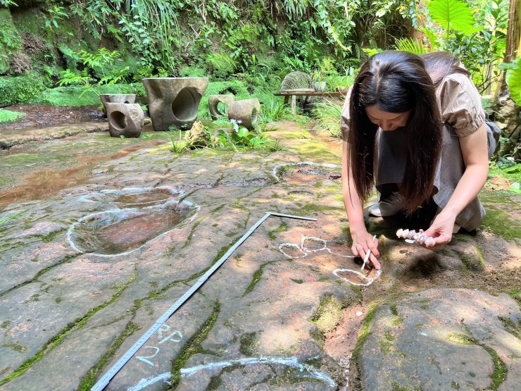 The footprints of two sauropods, discovered in Leshan, Sichuan, China.