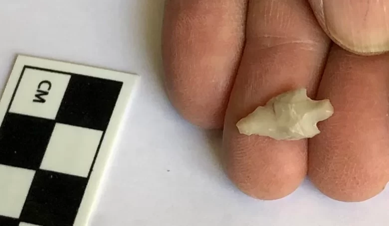 The Neolithic arrowhead, just over 1.5 centimeters long, excavated from Mount Zion in Jerusalem.