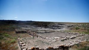 Viticulture in Kayseri Kültepe dates back 5,000 years