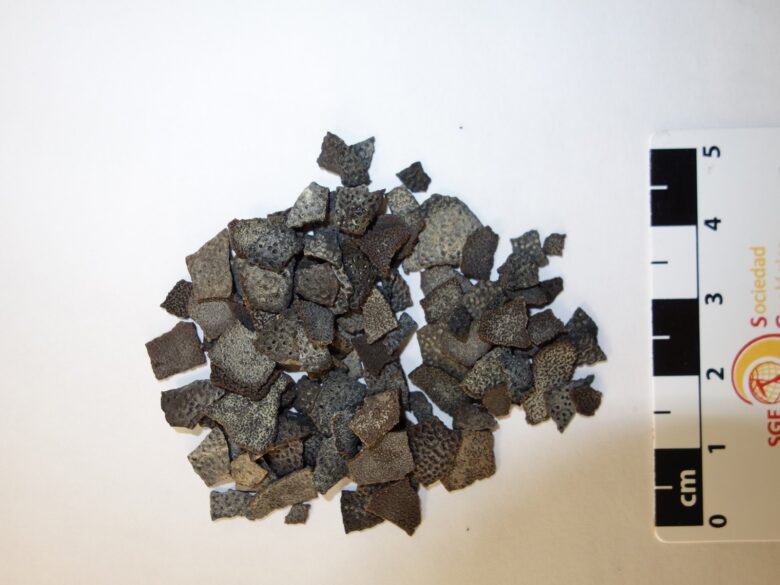 Undated image of shell fragments from Pachykrokolithus excavatum.