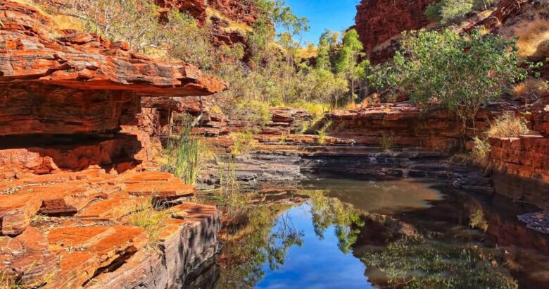 Dating to around 3.6 billion years ago, the Pilbara region of Western Australia is home to the fossilized evidence of the Earth’s oldest lifeforms.