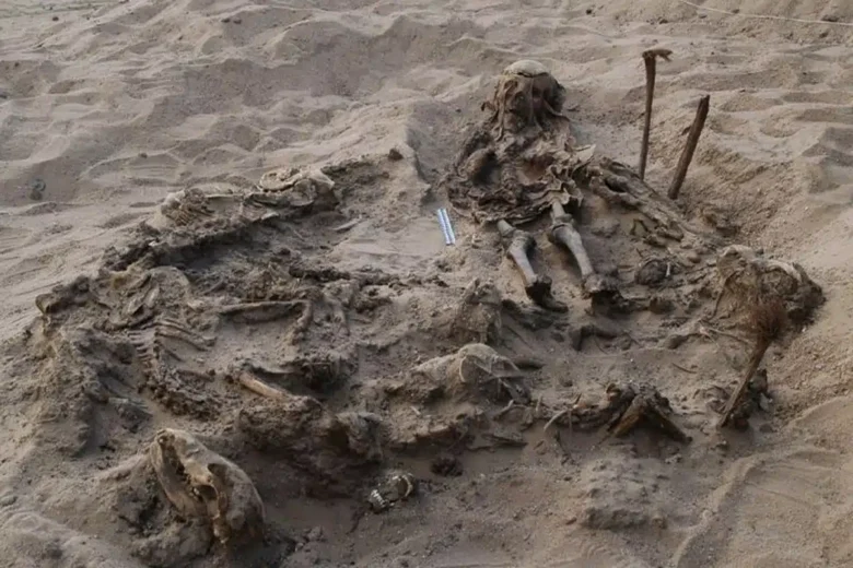 In ancient Egyptian Necropolis found a child grave with 142 dogs