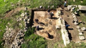 Byzantine mosaic with floral designs found in Israel.