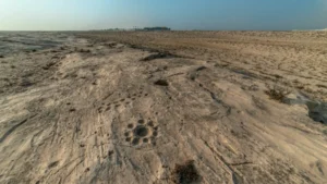 Rock carvings in Al Jassasiya.