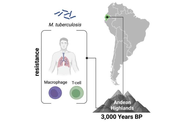 Signs of tuberculosis adaptation discovered in ancient Andeans