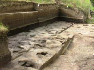 Fossil human footprints from the site.