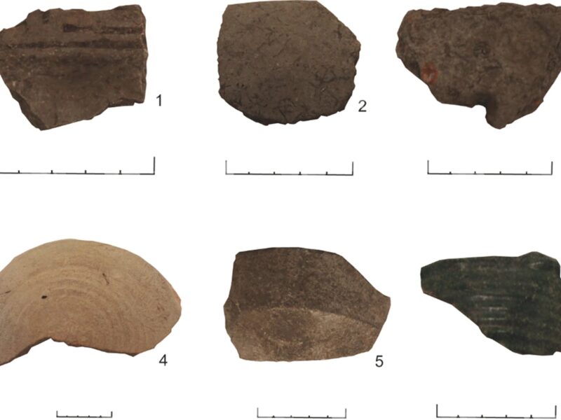 Samples of the analysed pottery.