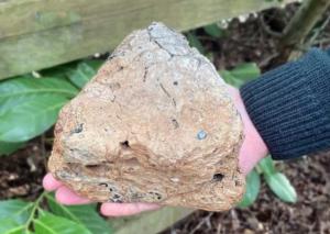 One of the loomweight fragments discovered from the Eynsham Park and Ride excavations.