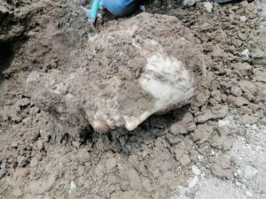 Marble head found during construction work in Rome piazza.