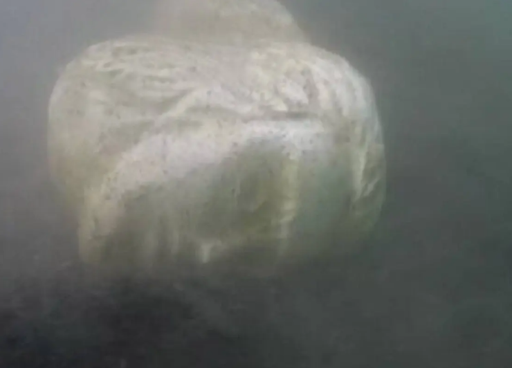 Stone head of Roman Emperor Caligula's ship found in Italian lake.