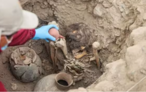 1000 year old mummy with long hair found in a pyramid in Peru.