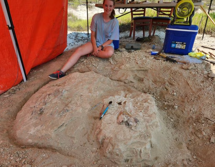 34 million year old whale skull discovered in Alabama.