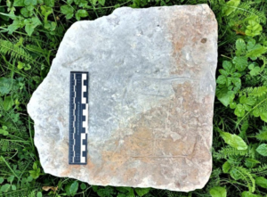 Medieval board game found in 16th century castle ruins.