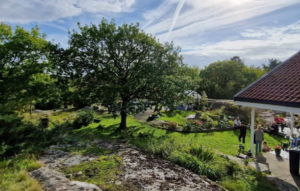 A family uncovers Viking treasures in their garden.