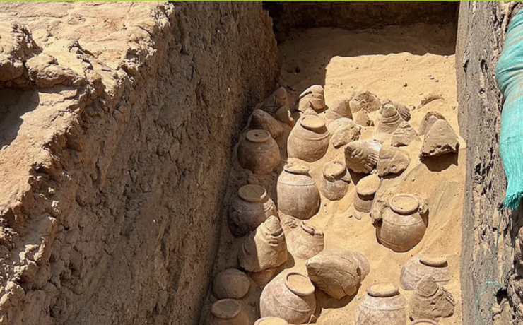 Egyptian Queen's 5000 year old wines discovered.