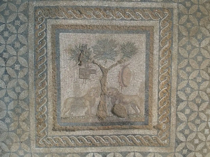 Mosaic depicting lions found in the ancient city of Prusias ad Hypium.
