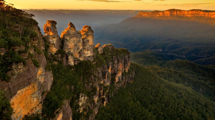 The Blue Mountains in New South Wales, where Wollemi pines were discovered.